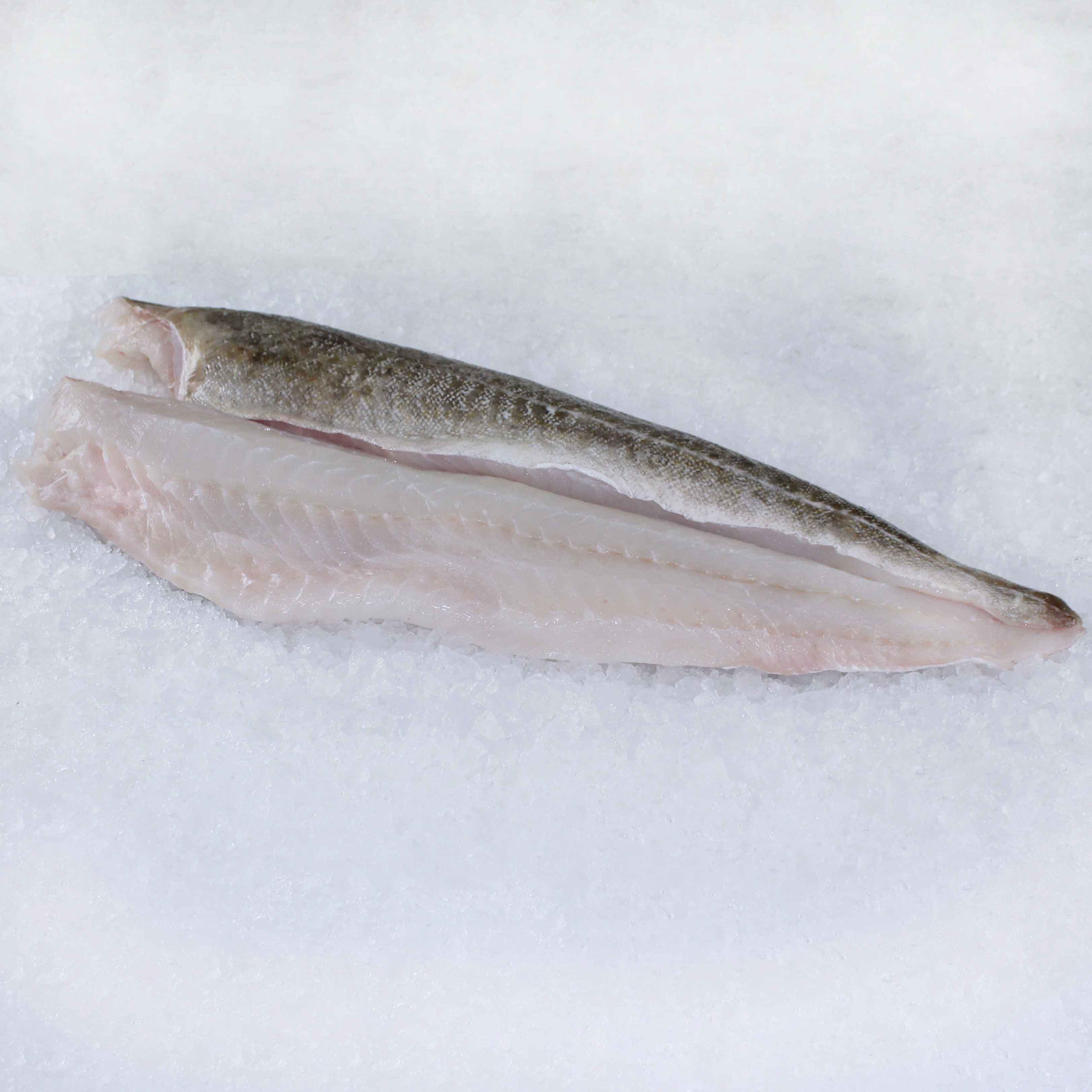 <strong>Codfish</strong>