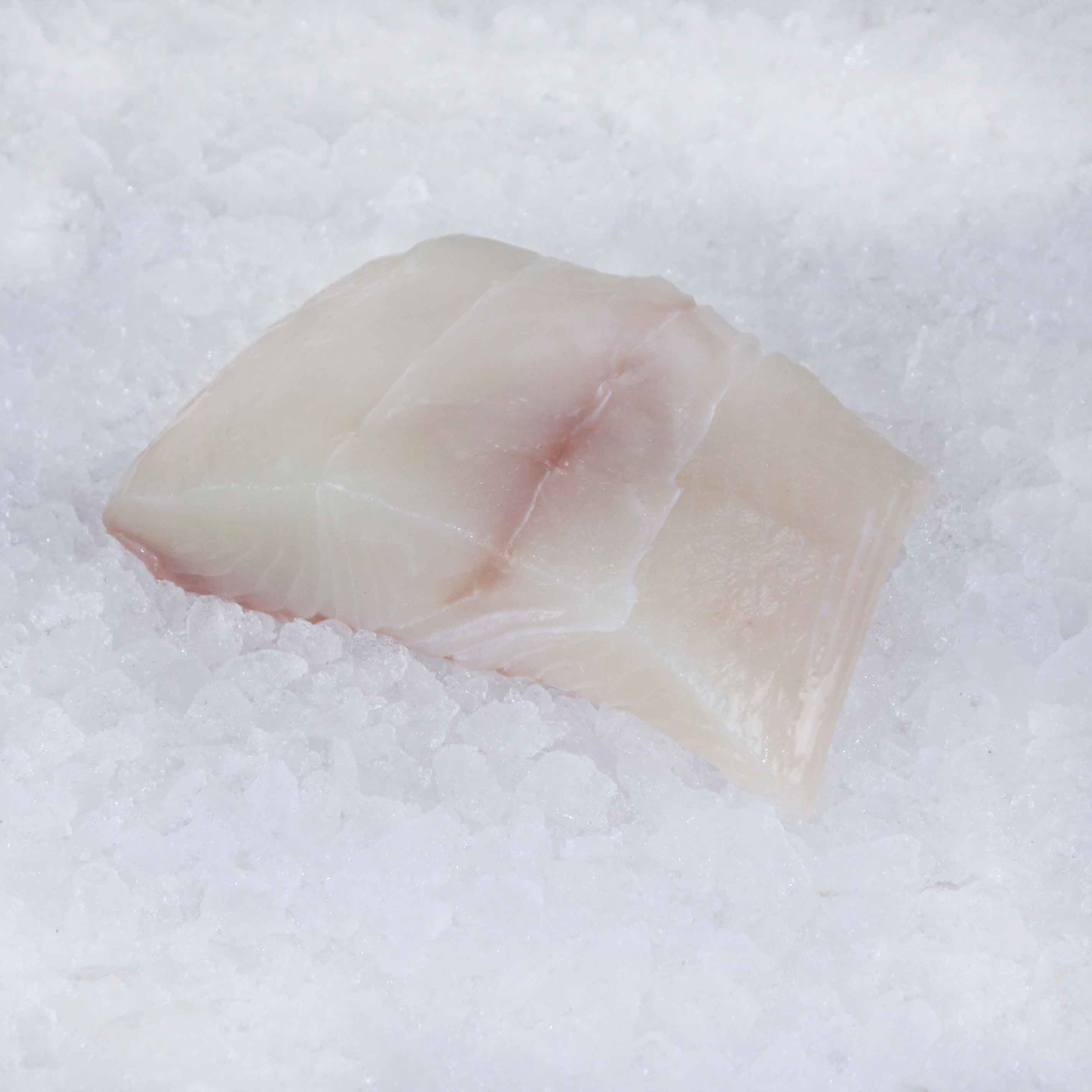 <strong>Halibut</strong>